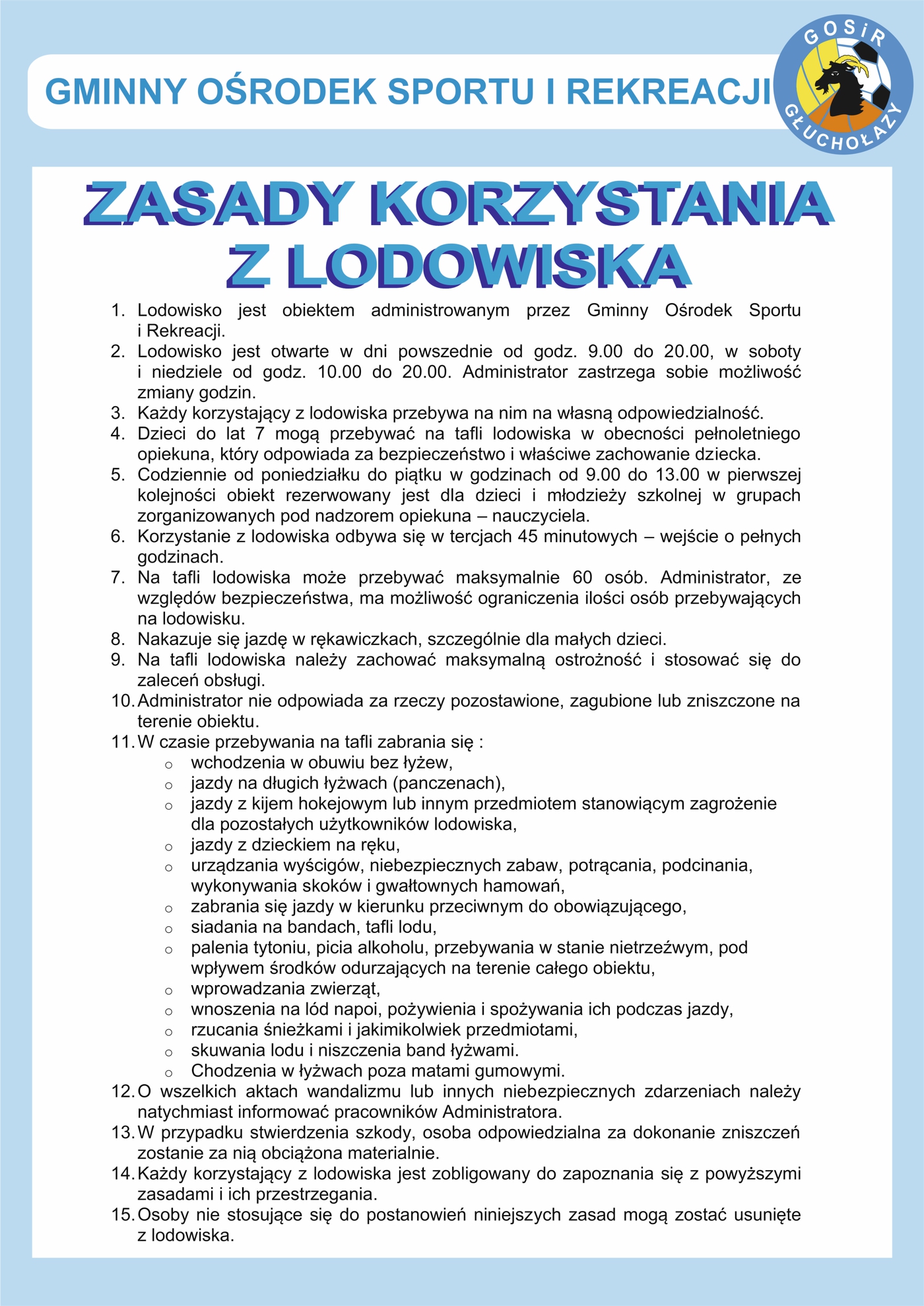 zasady korzystania z lodowiska